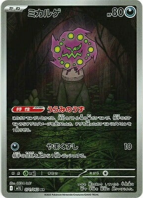 M1L 071/063 ミカルゲ AR